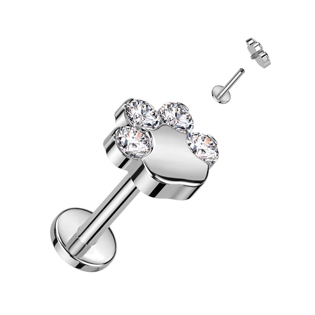 Piercing do brady tlapka TITAN (1,2 x 6 mm)