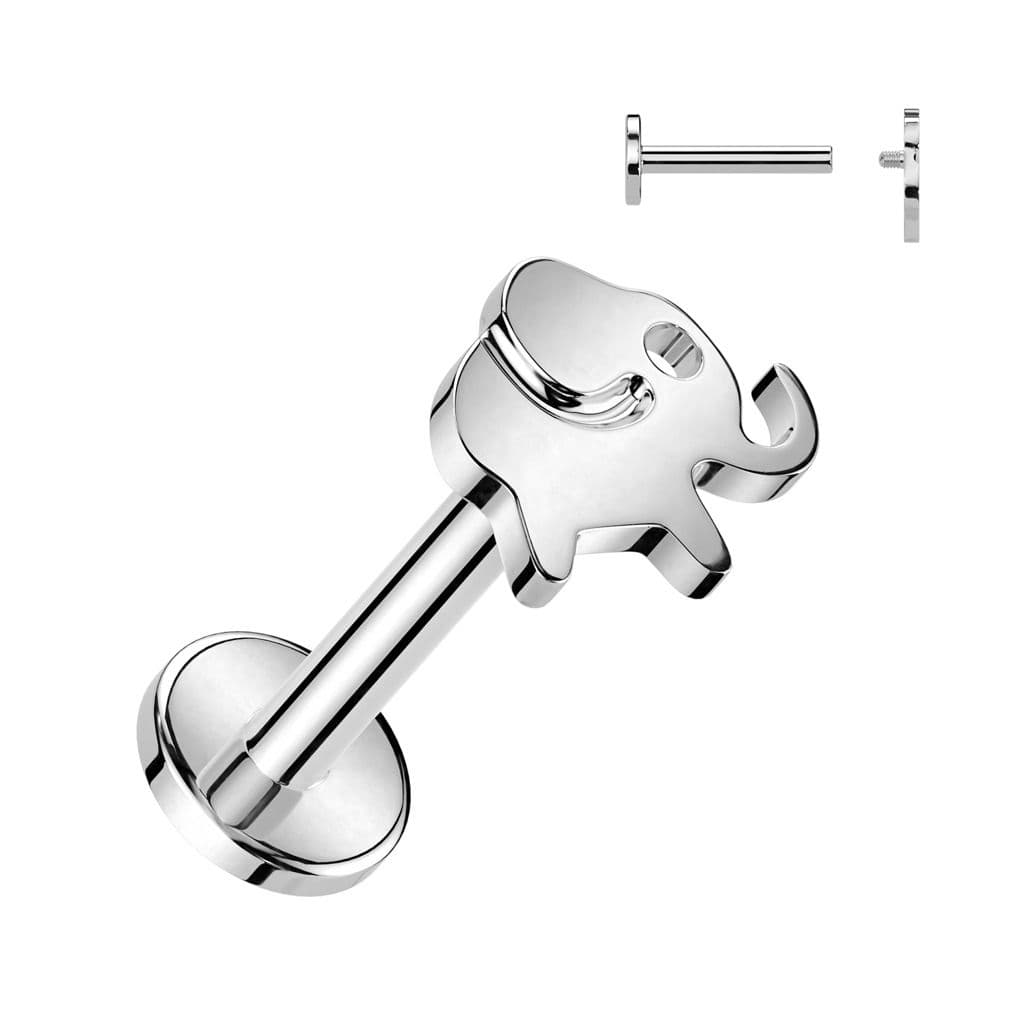 Piercing do brady slon - TITAN (1,2 x 8 mm)