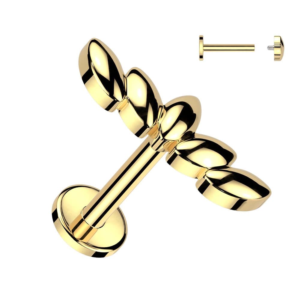 Piercing do brady labreta / cartilge (1,2 x 8 mm)