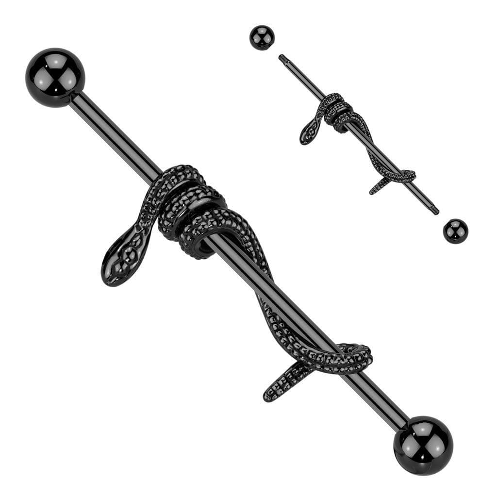Industrial piercing - had černý